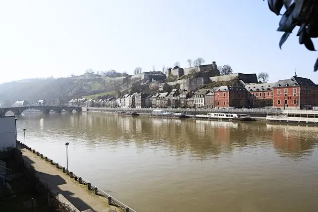 Standard Tek Büyük Yataklı Oda, Bahçe Manzaralı