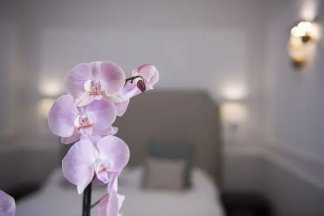 Deluxe Tek Büyük Yataklı Oda, Balkon
