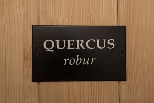 Premium Tek Büyük Yataklı Oda, Bahçe Manzaralı (Quercus)