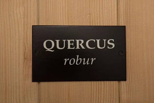Premium Tek Büyük Yataklı Oda, Bahçe Manzaralı (Rubus)