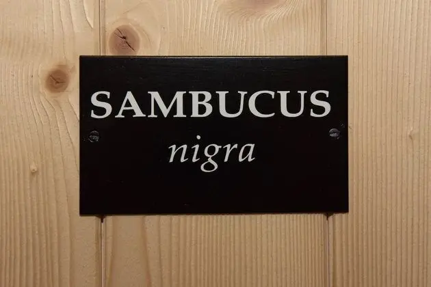 Premium Tek Büyük Yataklı Oda, Bahçe Manzaralı (Sambucus)