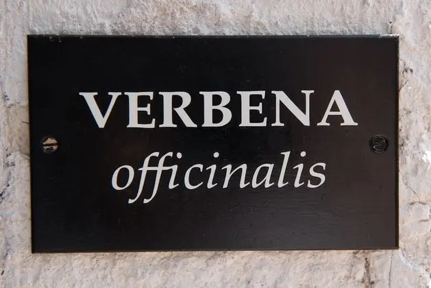 Premium Apart Daire, Bahçe Manzaralı (Verbena)
