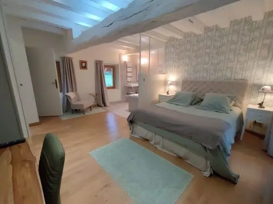 Tek Büyük Yataklı Oda, Banyolu/Duşlu (La chambre Coulanges)