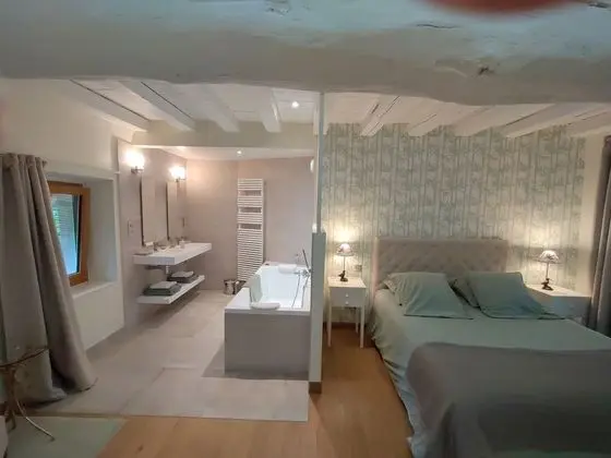 Tek Büyük Yataklı Oda, Banyolu/Duşlu (La chambre Coulanges)