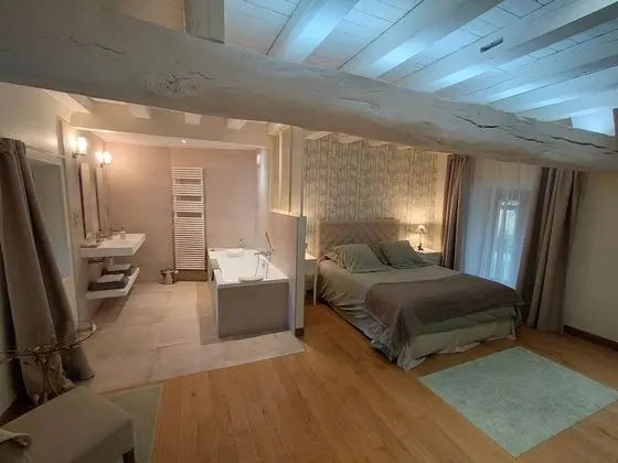Tek Büyük Yataklı Oda, Banyolu/Duşlu (La chambre Coulanges)
