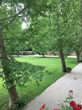 Superior Tek Büyük veya İki Ayrı Yataklı Oda