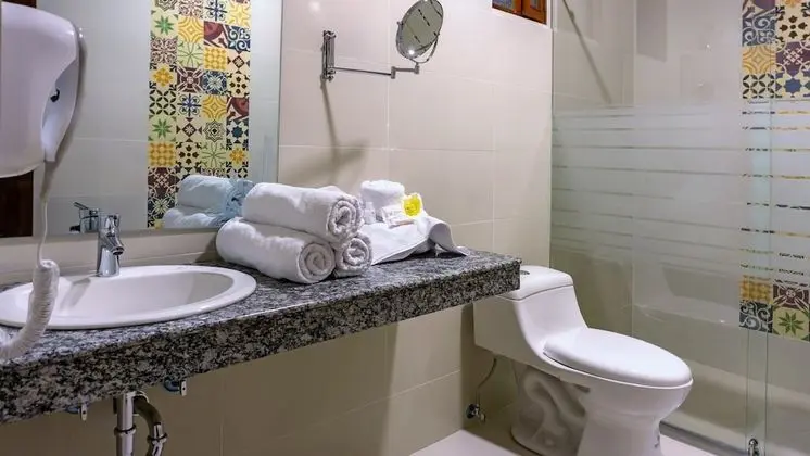 Superior Tek Büyük Yataklı Oda, 1 En Büyük (King) Boy Yatak, Sigara İçilmez