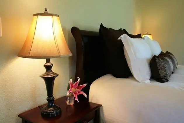 Romantic Süit, 1 En Büyük (King) Boy Yatak, Şömine, Üzüm Asması Manzaralı