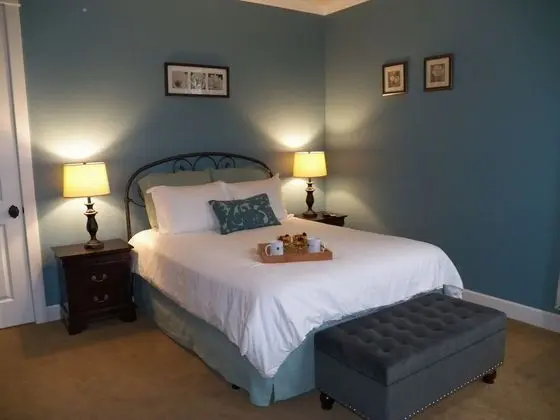 Romantic Tek Büyük Yataklı Oda, 1 Büyük (Queen) Boy Yatak, Üzüm Asması Manzaralı