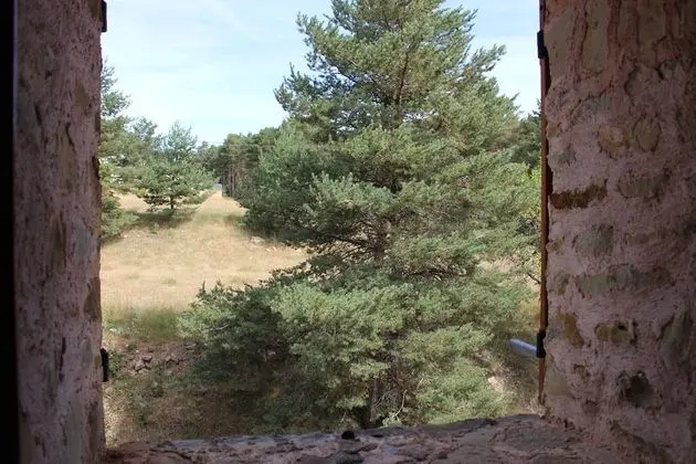 Family Oda, 2 Yatak Odası