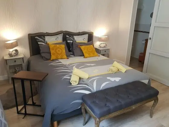 Comfort Tek Büyük Yataklı Oda (Écureuil)
