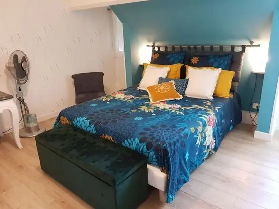 Comfort Tek Büyük Yataklı Oda (Mésange)