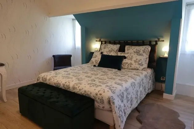 Comfort Tek Büyük Yataklı Oda (Mésange)