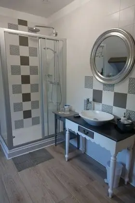 Comfort Tek Büyük Yataklı Oda (Mésange)