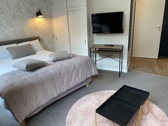 Superior Stüdyo, Banyolu/Duşlu, Bahçe Manzaralı (Studio plain pied)