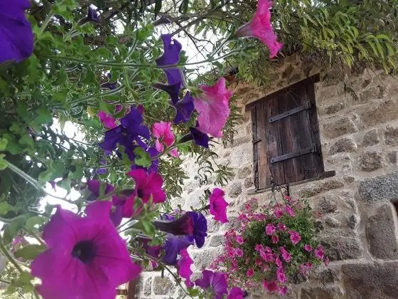 Deluxe Dağ Evi (Dovecote)