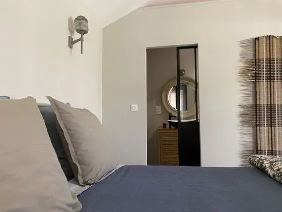 Süit (Eucalyptus)