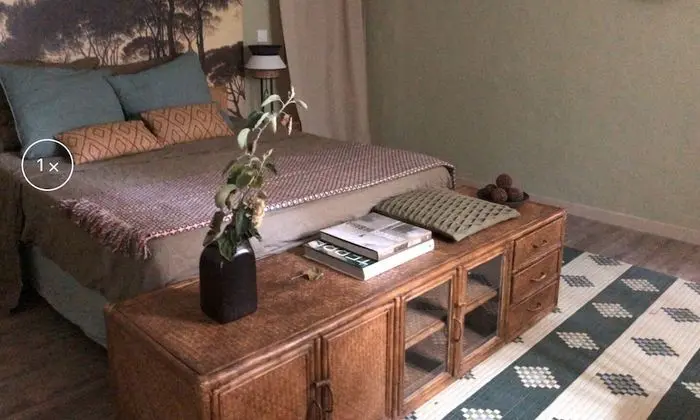 Tek Büyük Yataklı Oda (La Pinède)