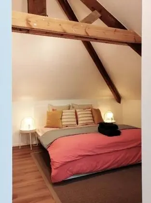 Apart Daire, 1 Yatak Odası, Teras