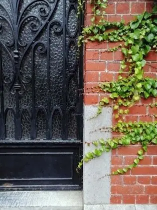 Apart Daire, 1 Yatak Odası, Teras