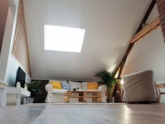 Apart Daire, 1 Yatak Odası, Teras