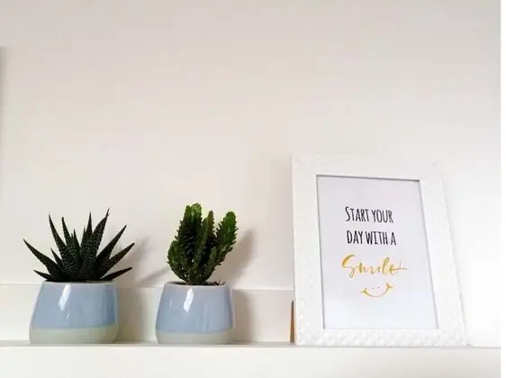 Apart Daire, 1 Yatak Odası, Teras