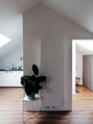 Apart Daire, 1 Yatak Odası, Teras