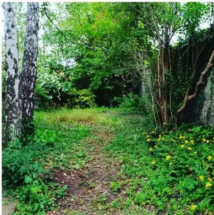 Apart Daire, 1 Yatak Odası, Teras