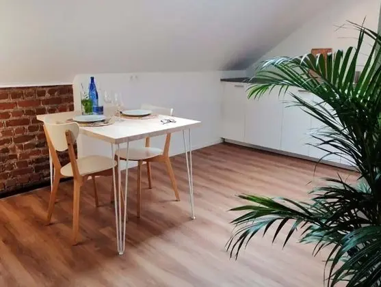 Apart Daire, 1 Yatak Odası, Teras