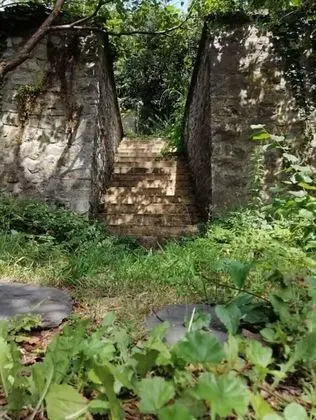 Apart Daire, 1 Yatak Odası, Teras