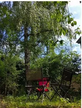 Apart Daire, 1 Yatak Odası, Teras