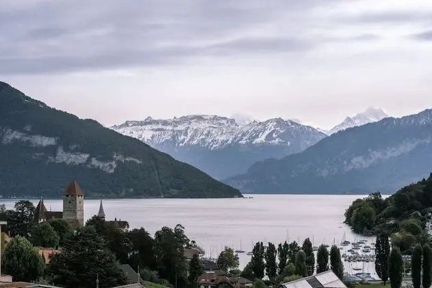 Panoramic Tek Kişilik Oda