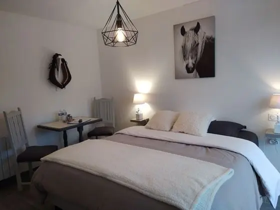 Superior Tek Büyük Yataklı Oda, 1 Yatak Odası, Bahçe Manzaralı