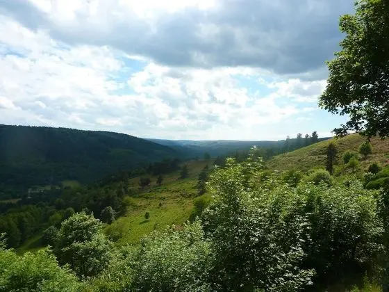 Comfort Dört Kişilik Oda (Katamino)