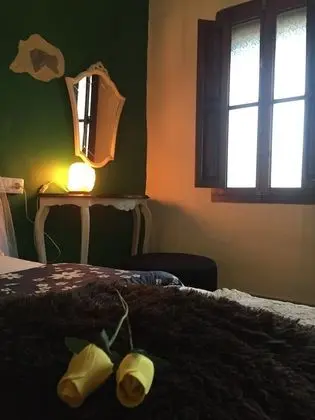 Deluxe Tek Büyük Yataklı Oda, Ortak Banyo (Green)