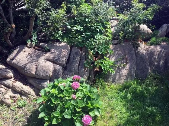 Villa, Sigara İçilebilir