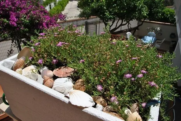 Ev, 1 Yatak Odası, Balkon