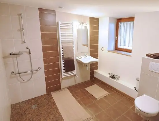 Tek Büyük Yataklı Oda, Engellilere Uygun (L'Ecurie )