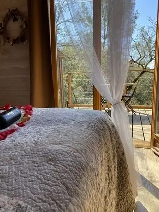 Panoramic Kulübe, 1 Çift Kişilik Yatak, Sigara İçilmez, Tepe Manzaralı