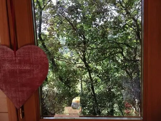 Panoramic Kulübe, 1 Çift Kişilik Yatak, Sigara İçilmez, Tepe Manzaralı