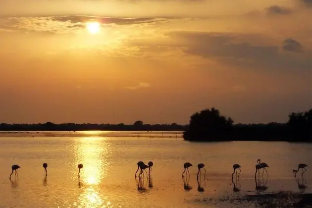 Ev, Banyolu/Duşlu, Göl Manzaralı