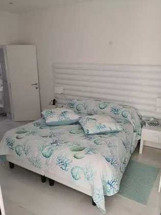 Süit