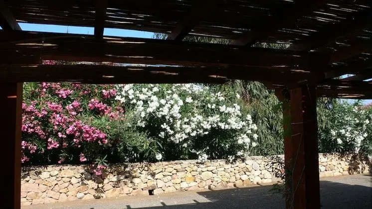 Apart Daire, 2 Yatak Odası, Zemin Kat