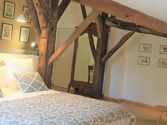 Superior Tek Büyük Yataklı Oda, 1 En Büyük (King) Boy Yatak, Bahçe Manzaralı
