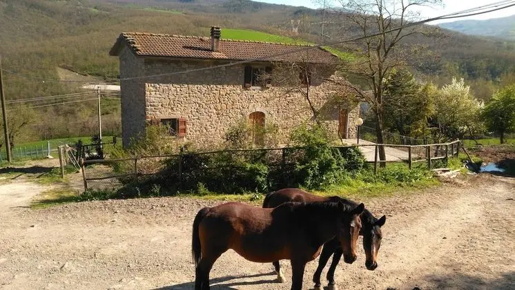 Apart Daire, 2 Yatak Odası, Tepe Manzaralı