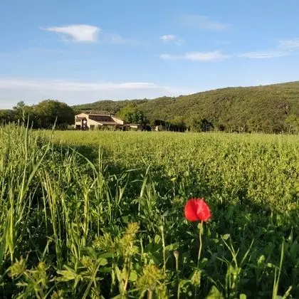 Ev, 2 Yatak Odası