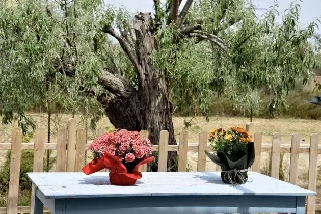 Apart Daire, Bahçe Manzaralı