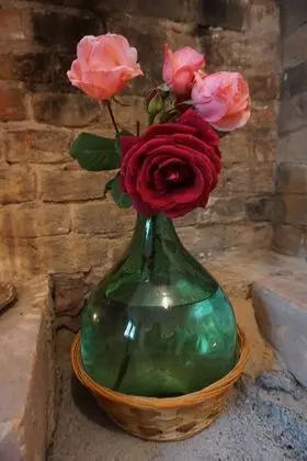 Tek Büyük Yataklı Oda, Engellilere Uygun