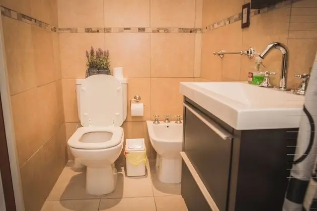 Superior Tek Büyük Yataklı Oda, 1 En Büyük (King) Boy Yatak, Özel Banyo