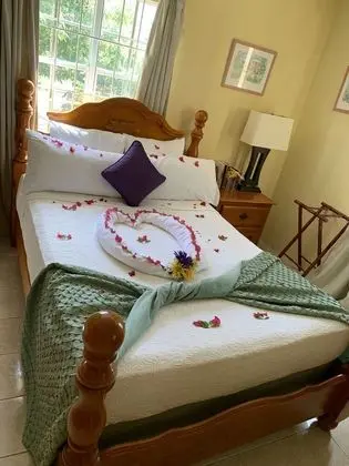 Comfort Süit, 1 Büyük (Queen) Boy Yatak, Özel Banyo